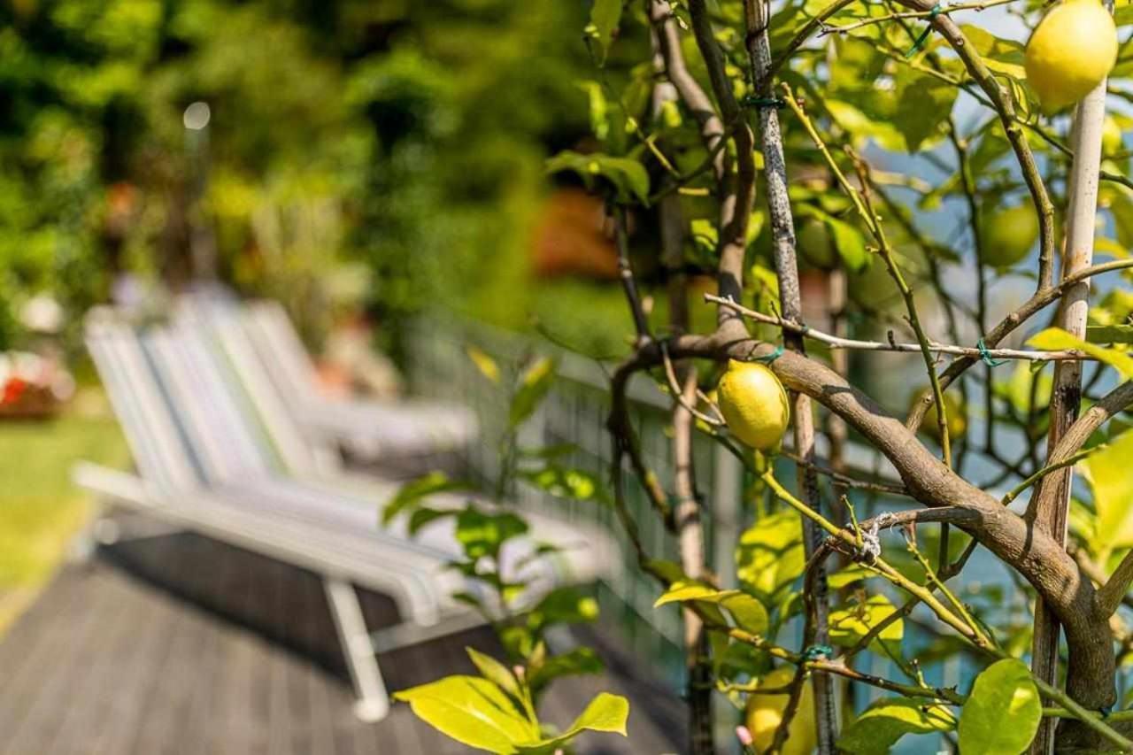 Villa Delle Edere Brienno 外观 照片